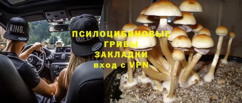 закладки  Безенчук  hydra зеркало  Галлюциногенные грибы MAGIC MUSHROOMS 